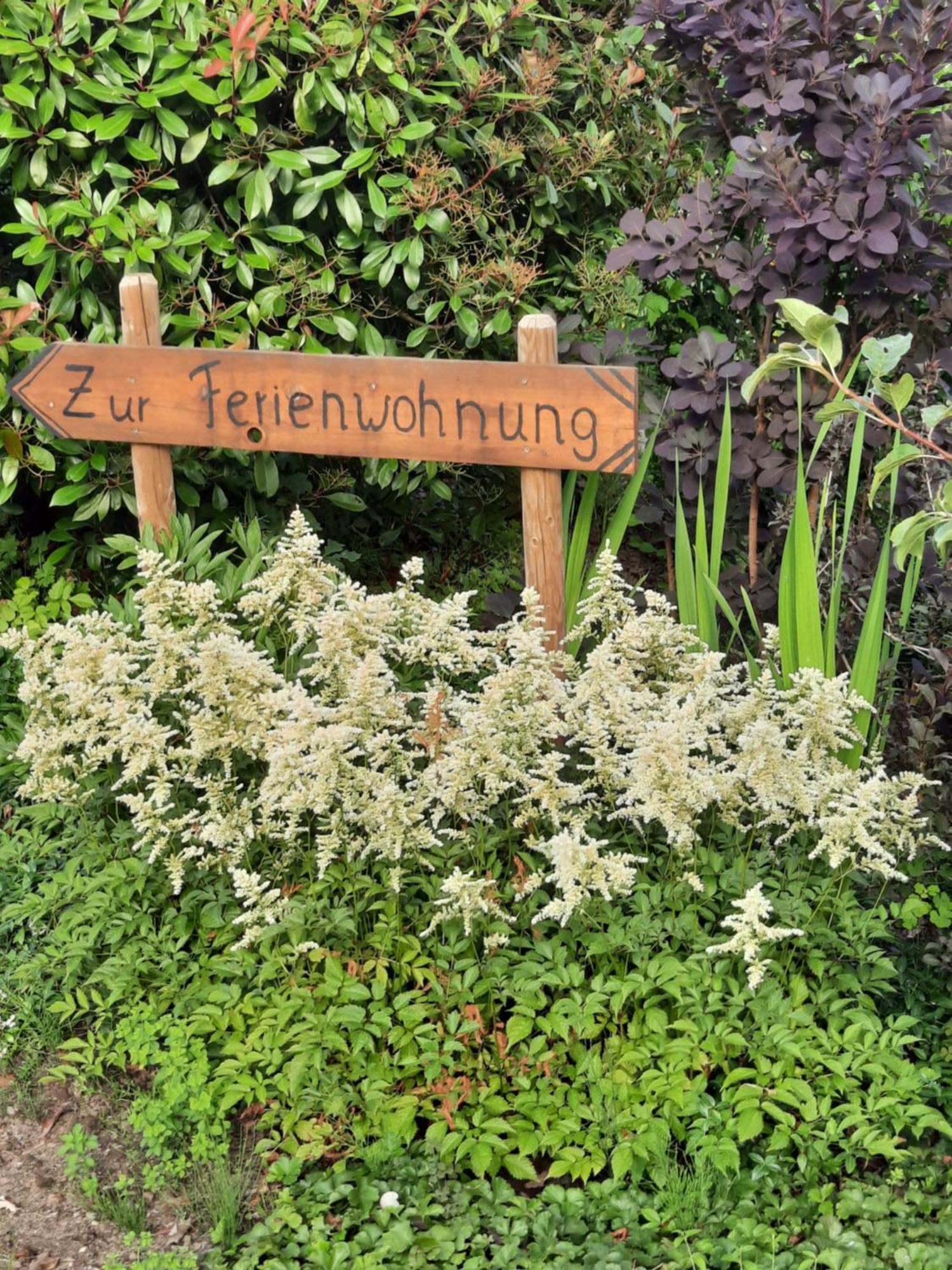 Ferienwohnung van den Berg Rees Exterior foto